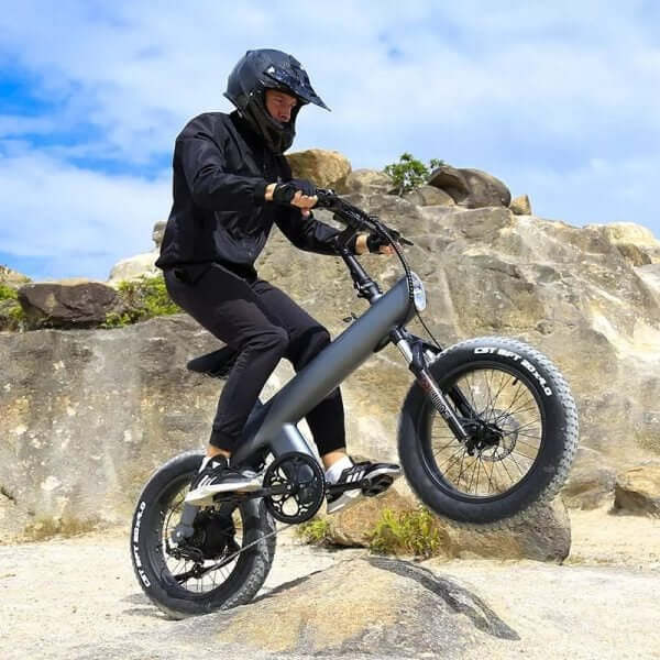 Q3 Electric Bike 20 in Fat Tire Electric Bike iXuFast